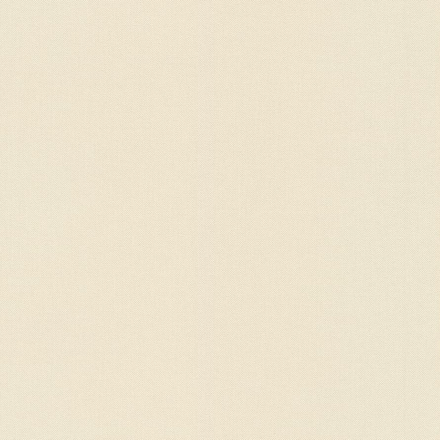 Rasch Allegretto 424058 флизелин  поверхность матовая