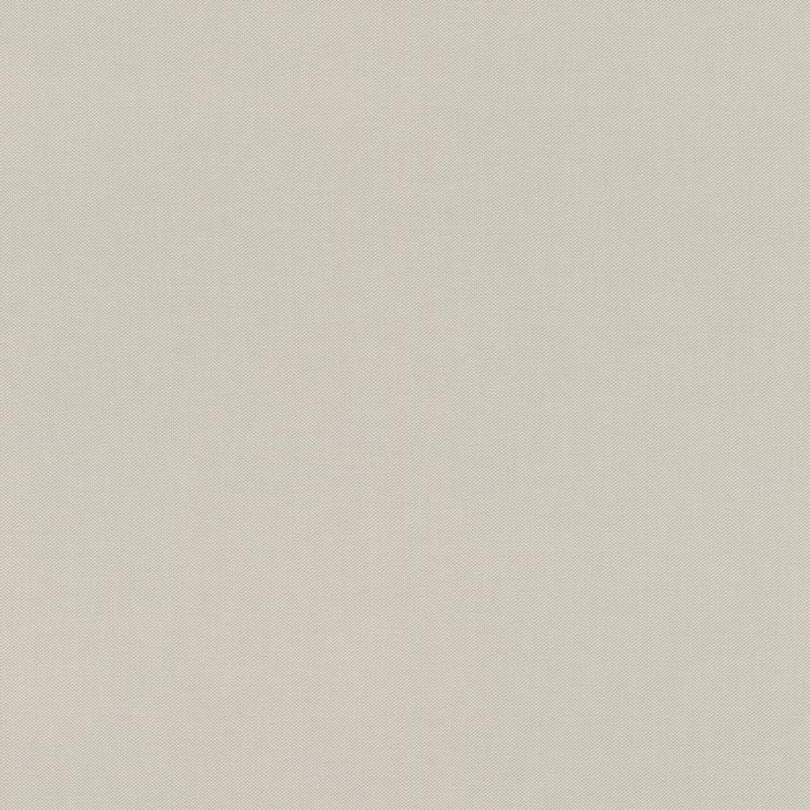 Rasch Allegretto 542479 флизелин  поверхность матовая