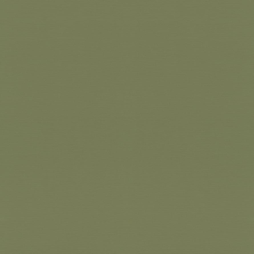 Rasch Allegretto 687538 флизелин  поверхность матовая