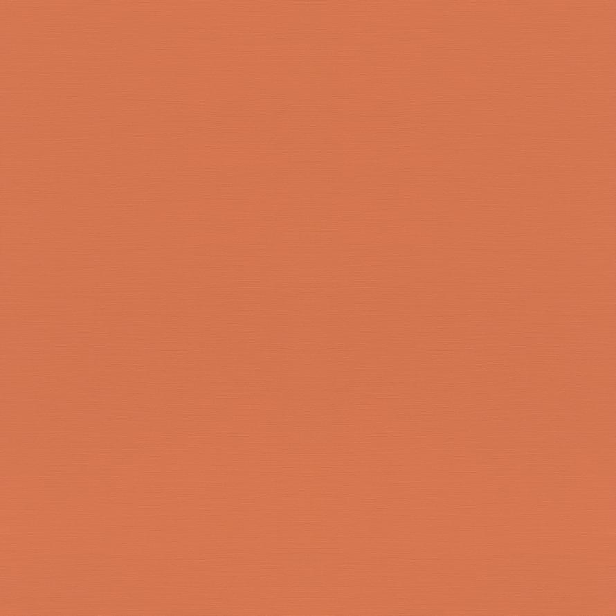 Rasch Allegretto 687569 флизелин  поверхность матовая