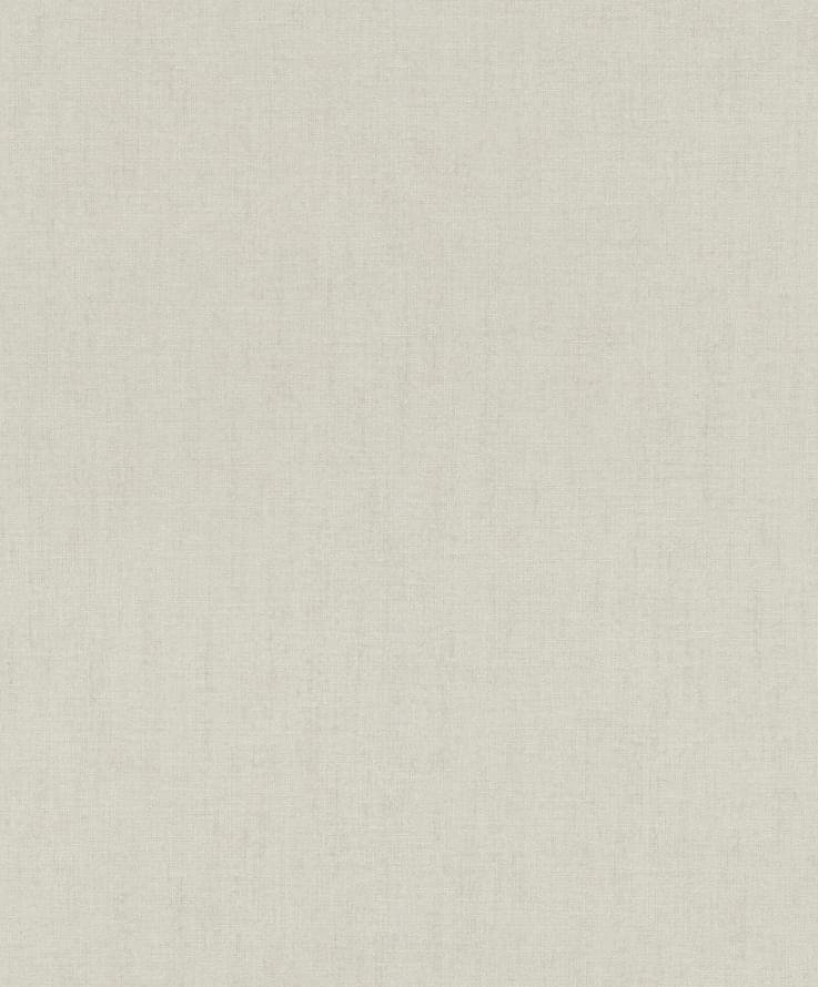Rasch Florentine Incanto 820737 10.05м x 106см поверхность