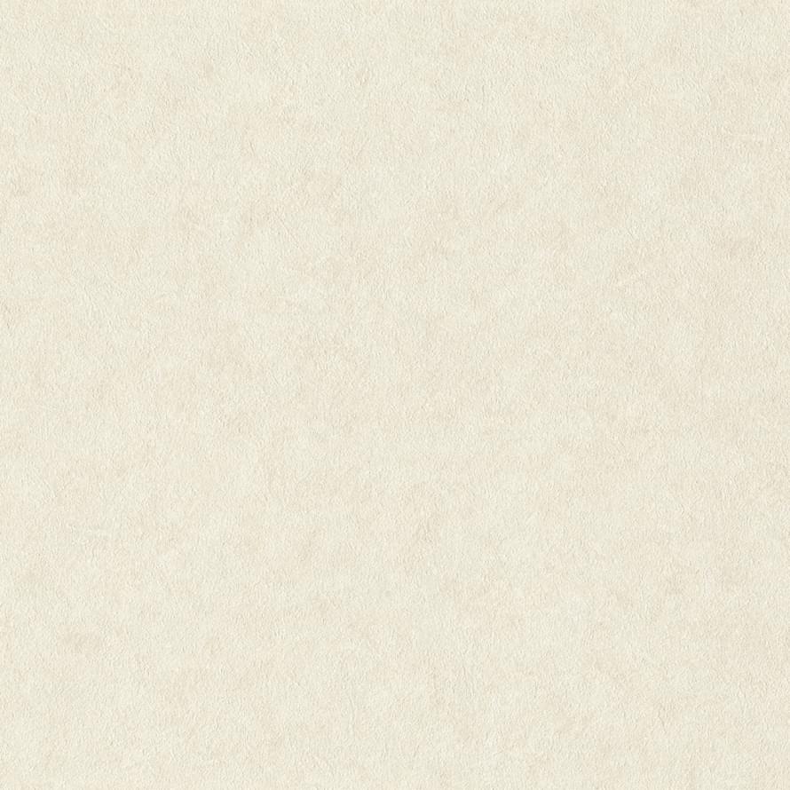 Rasch Wall Textures XL 3 957303 10.05x106 Rasch Wall Textures XL 3 957303 10.05x106