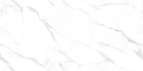 Плитка Realistik Gres Ginza Porsch 60x120 см, поверхность полуматовая