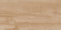 Плитка Realistik Gres Paint Wood Bone Gloss 60x120 см, поверхность полированная