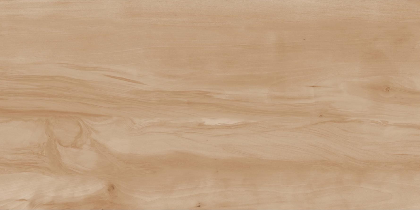 Realistik Gres Paint Wood Bone Matt 60x120 Realistik Gres Paint Wood Bone Matt 60x120