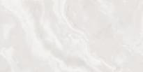 Плитка Realistik Gres Tripoli Polished Silver Carving 60x120 см, поверхность полированная