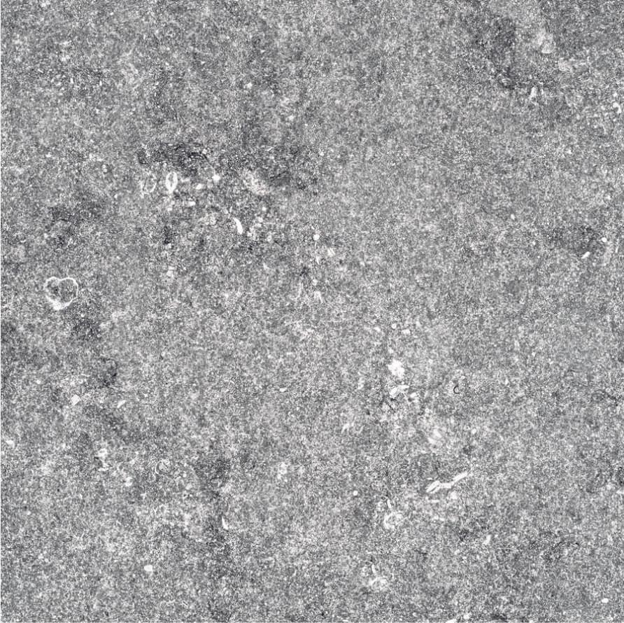 Плитка Refin Blue Emotion Flamme Grey R Out2.0 60x60 см, поверхность матовая