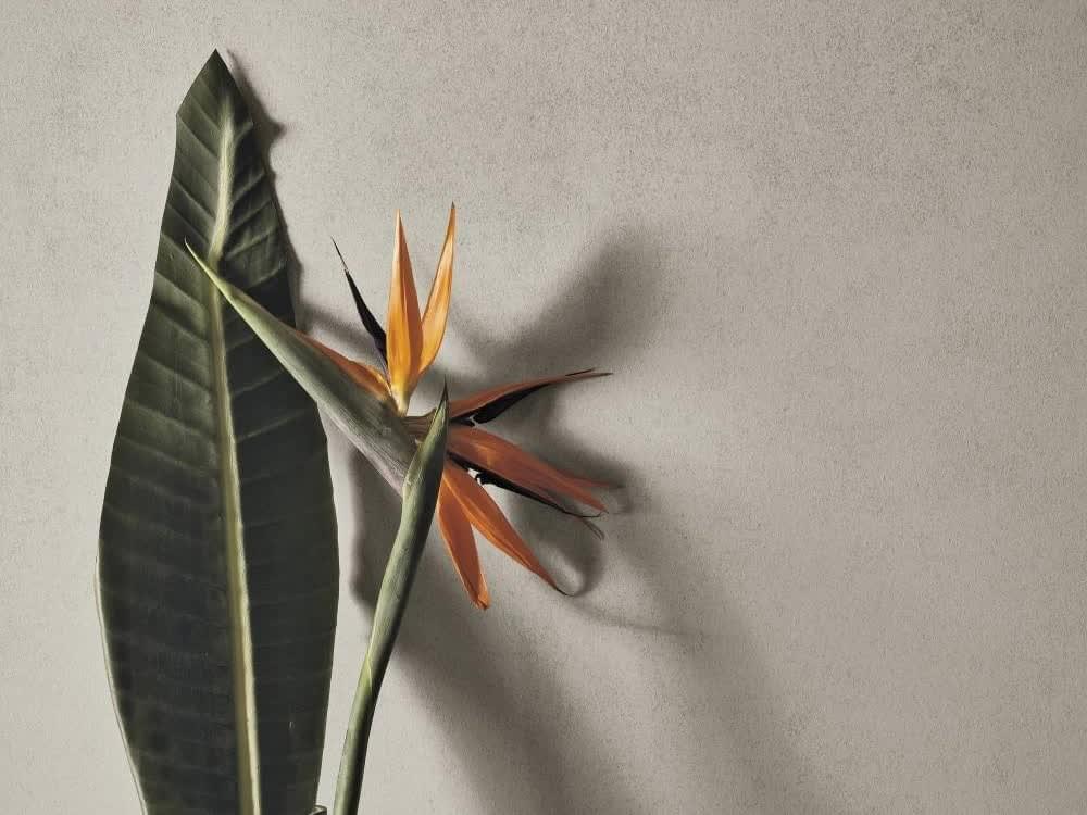 керамогранит фабрики Refin коллекция Feel