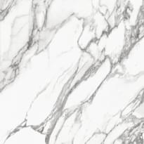 Плитка Refin Prestigio Arabescato Lucido R 120x120 см, поверхность полированная