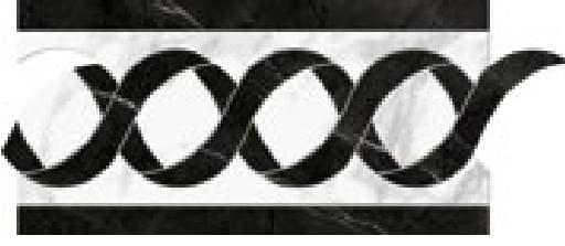 Плитка Refin Prestigio Nuvolato Lucido Fascia Classic R 15x30 см, поверхность полированная