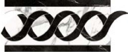 Плитка Refin Prestigio Statuario Apuano Lucido Fascia Classic R 15x30 см, поверхность полированная