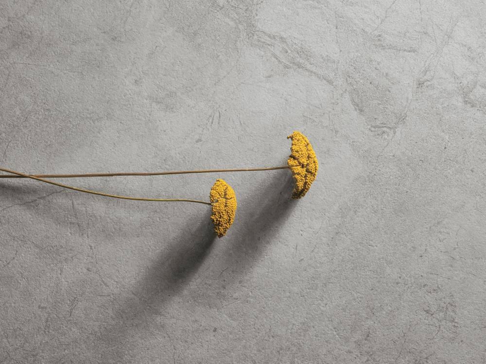 керамогранит фабрики Refin коллекция River