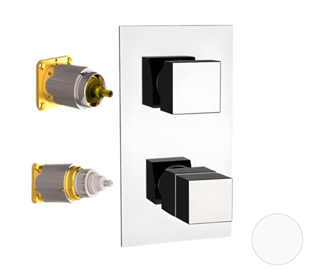 Плитка Remer Q-Elegance Встраиваемый смеситель термостатический для душа Q-ELEGANCE белый матовый  поверхность матовая