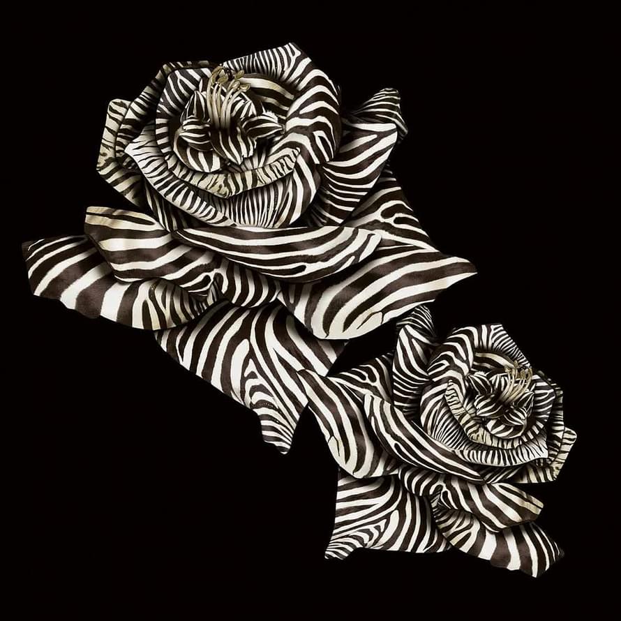 Roberto Cavalli Book 8 Roses And Stripes 3м x 300см поверхность матовая