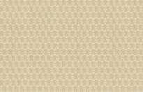 Roberto Cavalli Book 9 21036 10.05м x 106см поверхность матовая