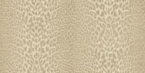 Roberto Cavalli Book 9 21043 10.05м x 106см поверхность матовая