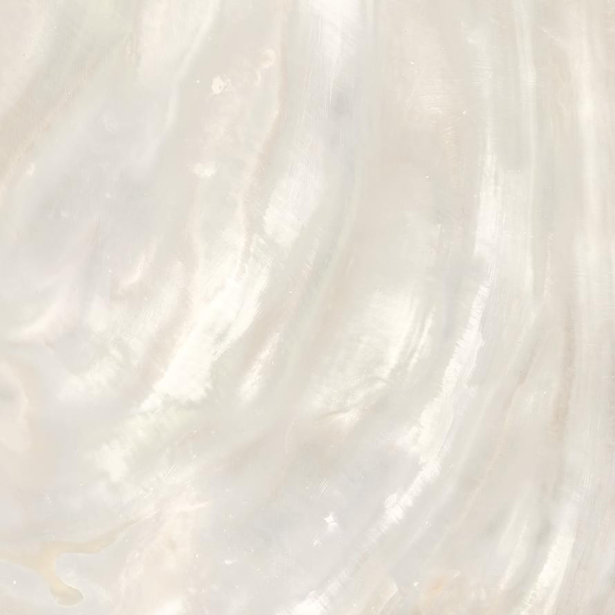 Roberto Cavalli Bright Pearl Ivory Rett 80x80