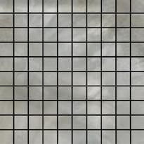 Плитка Roberto Cavalli Bright Pearl Mosaico 2D Silver 30x30 см, поверхность матовая