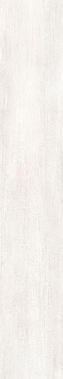 Roberto Cavalli The Wild Spirit Wood Blanc Nt Rt 20x120