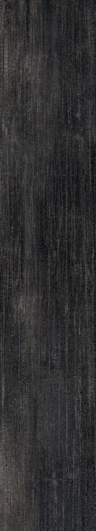 Roberto Cavalli The Wild Spirit Wood Noir Rt 20x120