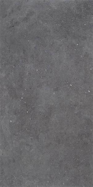 Rocersa Mixtone Dark 60x120