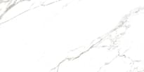 Плитка Rondine Canova Statuario Rect 30x60 см, поверхность матовая