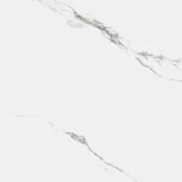 Плитка Royce Porcelain Carrara Marmo Matt 60x60 см, поверхность матовая