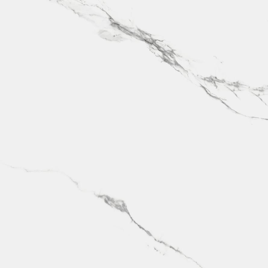 Royce Porcelain Carrara Marmo Matt 60x60