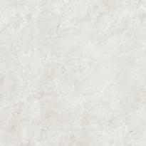 Плитка Royce Porcelain Crema Marfil Polished 60x60 см, поверхность полированная