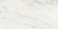 Плитка SK Ceramics Calacatta White 60x120 см, поверхность полированная