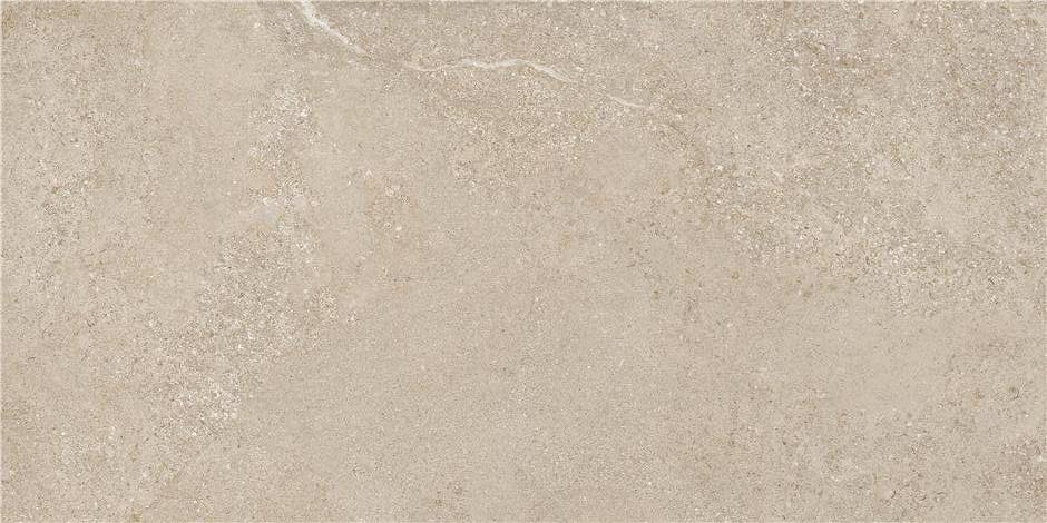 STN Arenite Natural Mt 60x120