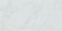 Плитка STN Caryn Bianco Pul Rect 59x119 см, поверхность полированная