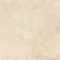 Плитка Sant Agostino Themar Crema Marfil 120x120 см, поверхность матовая