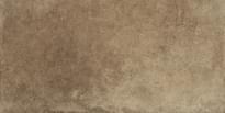 Плитка Savoia Cotto Artigianale Senese 21.6x43.5 см, поверхность матовая, рельефная