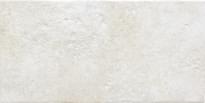 Плитка Savoia Tufi Bianco R10 21.6x43.5 см, поверхность матовая