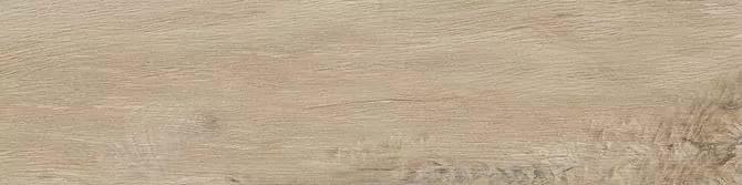 Serenissima Cir Leccio Gentile 10x40 Serenissima Cir Leccio Gentile 10x40