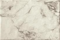 Плитка Serenissima Cir Magistra Classic Paonazzetto 40x60.8 см, поверхность матовая