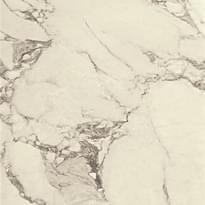 Плитка Serenissima Cir Magistra Paonazzetto LR 100x100 см, поверхность полированная