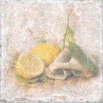 Serenissima Cir Marble Style Inserto Tradition S3 Lemon 10x10