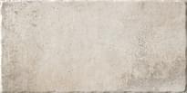 Плитка Serenissima Cir Recupera Cotto Bianco 20x40 см, поверхность матовая