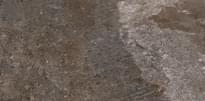 Плитка Settecento Des Alpes Grigio 47.8x97 см, поверхность матовая