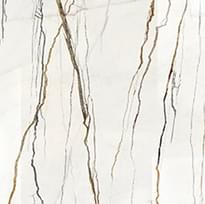 Плитка Settecento Lichen Rainforest Naturale 120x120 см, поверхность матовая