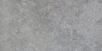 Плитка Settecento Shellstone Grey 29.9x60 см, поверхность матовая