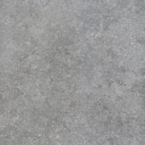 Плитка Settecento Shellstone Grey 80x80 см, поверхность матовая