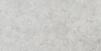 Плитка Settecento Shellstone White 29.9x60 см, поверхность матовая