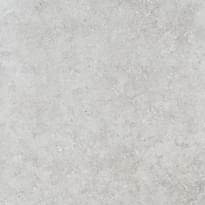Плитка Settecento Shellstone White 60x60 см, поверхность матовая