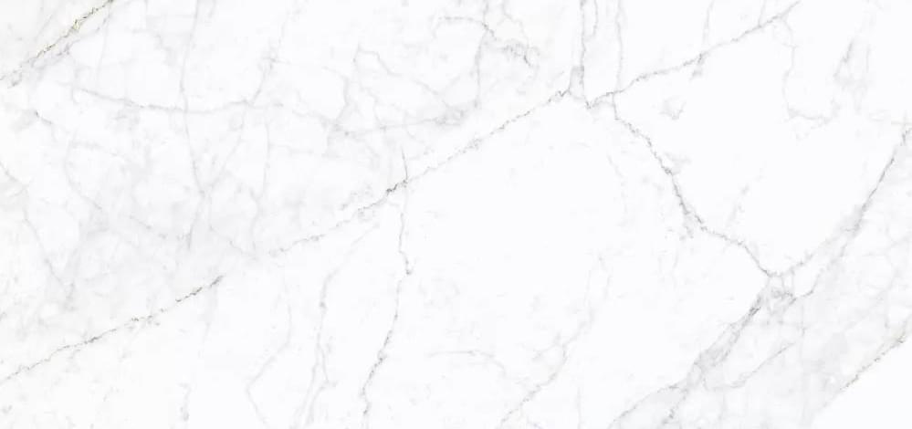 Плитка Simpolo Carrara Pg Fogg 59.8x119.8 см, поверхность полированная