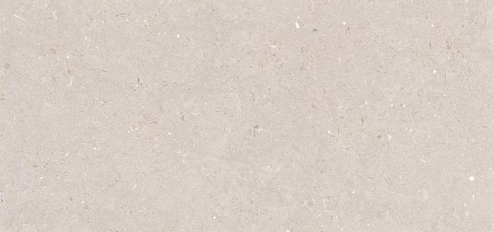 Плитка Simpolo Fossil Stx Barley 59.8x119.8 см, поверхность матовая