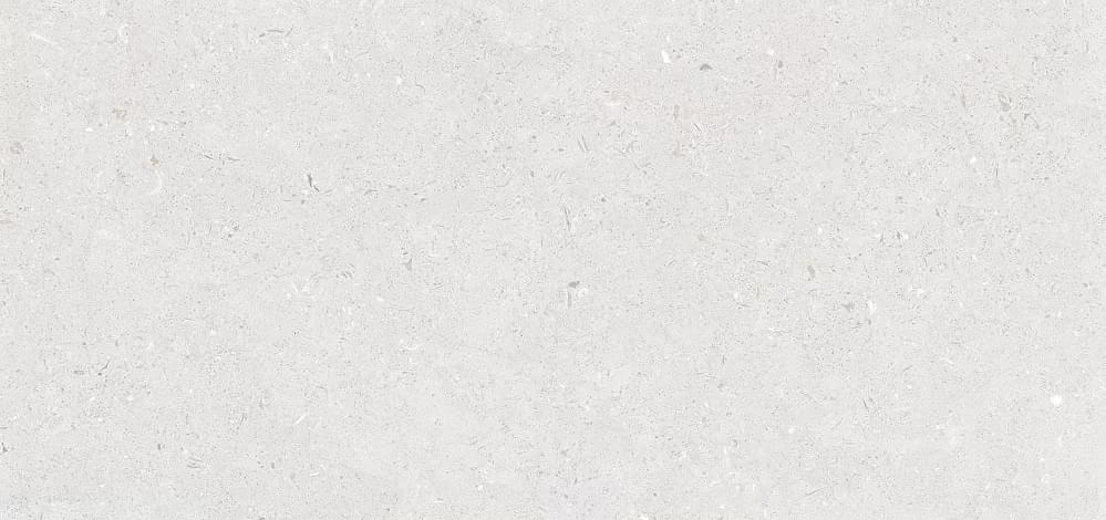 Плитка Simpolo Fossil Stx Bianco 59.8x119.8 см, поверхность матовая