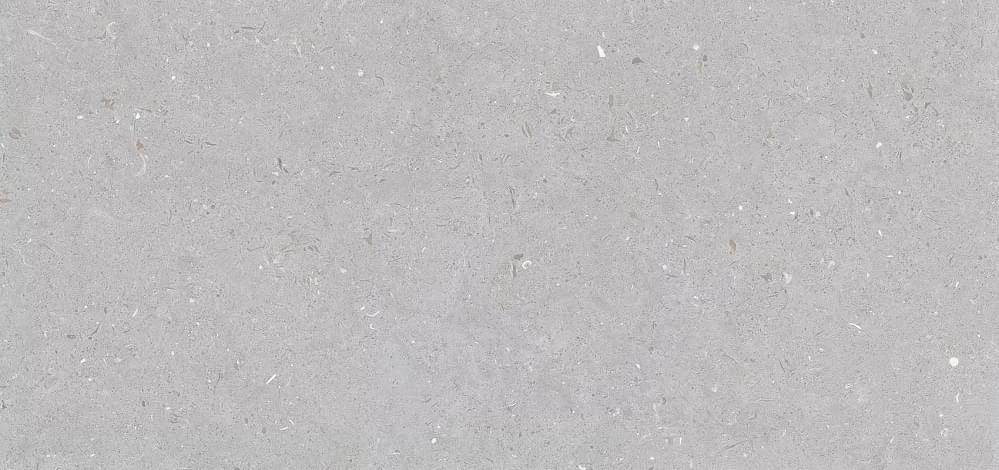 Плитка Simpolo Fossil Stx Dove 59.8x119.8 см, поверхность матовая